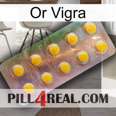 Gold Vigra new11